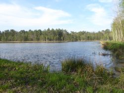 Etang de la Chaux